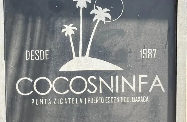 COCOS NINFA
